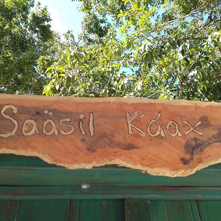 Saasil Kaax Villa Chemuyil Ngoại thất bức ảnh