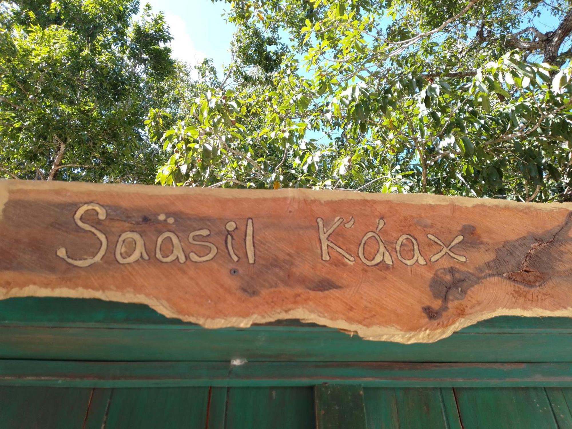 Saasil Kaax Villa Chemuyil Ngoại thất bức ảnh